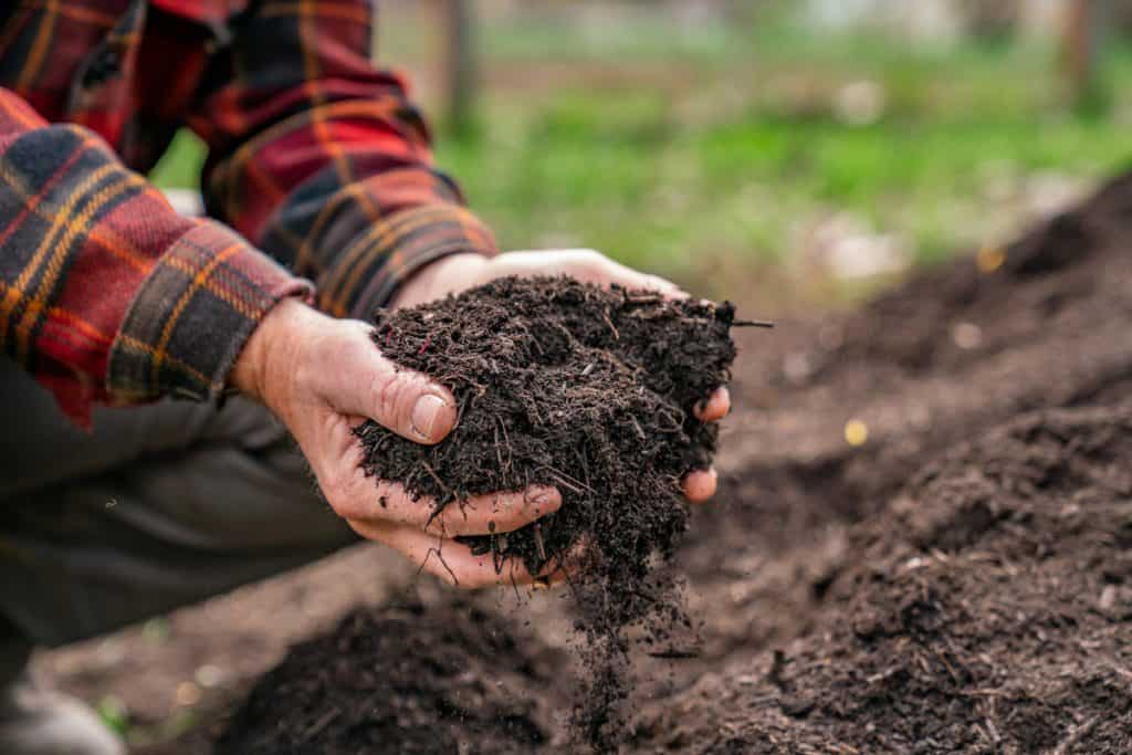 Sustainable Gardening: Compost Troubleshooting