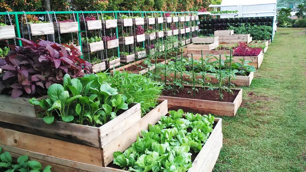 Sustainable Gardening