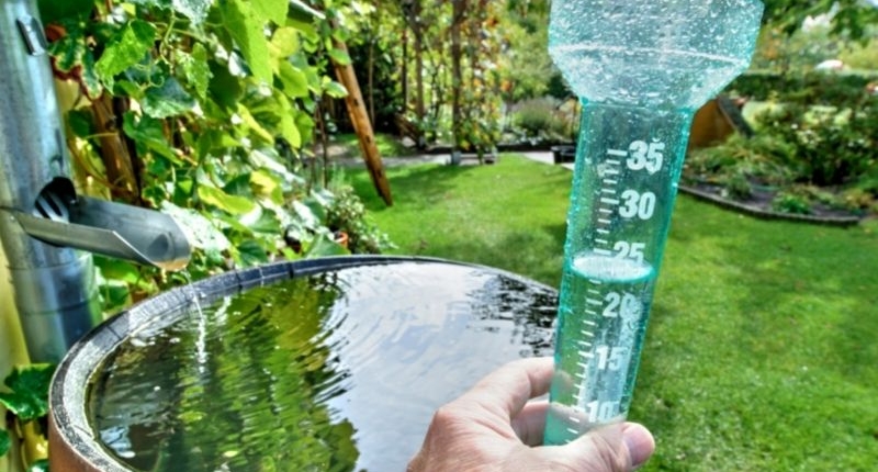 Sustainable Gardening: The Importance of Water Conservation