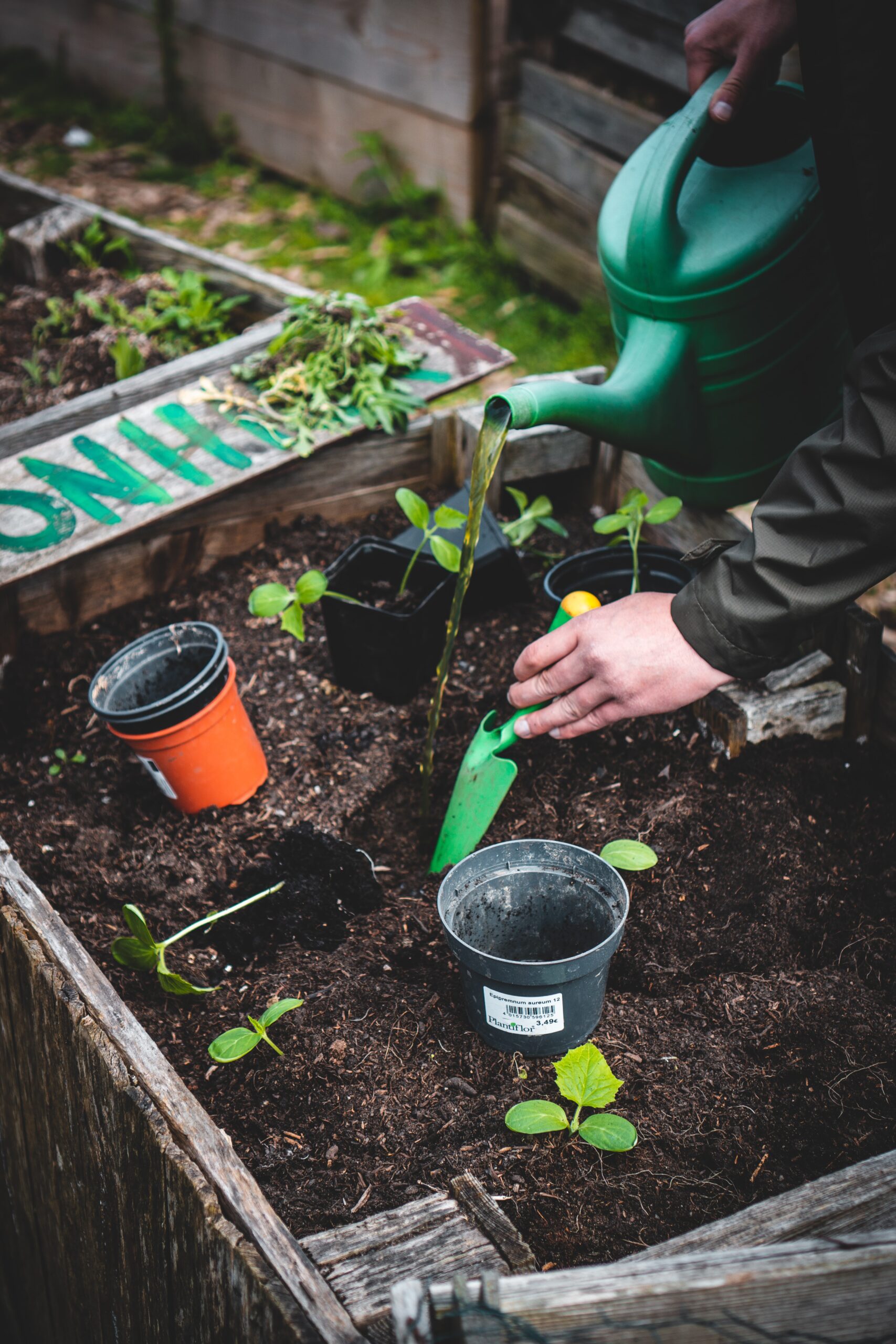 Sustainable Gardening